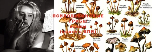 MDMA Premium VHQ Беломорск