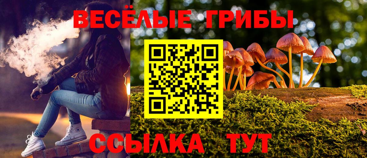 Псилоцибиновые грибы Psilocybine cubensis Реутов